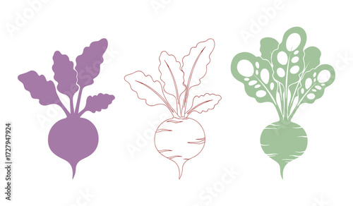 Three stylized beet vegetables with purple green and outline styles on white background beetroot root vegetable