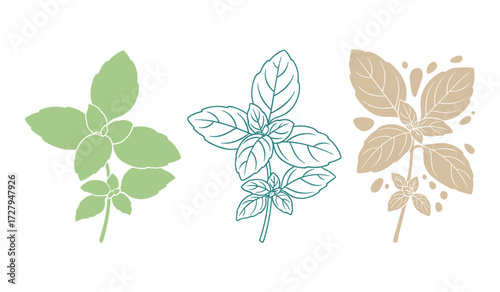 Three stylized basil sprigs in green teal and beige on white background herb plant