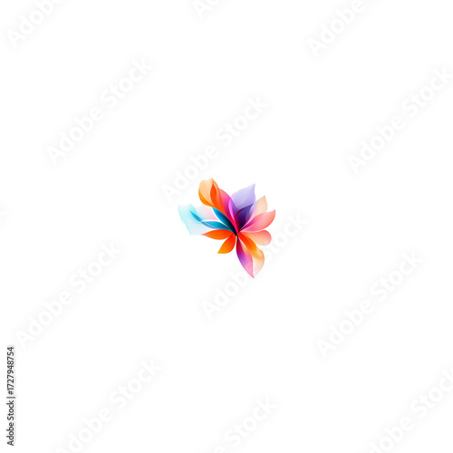 colorful flower isolated on white