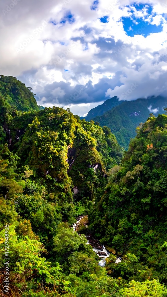 Obraz premium Lush valley with dramatic mountains and clouds