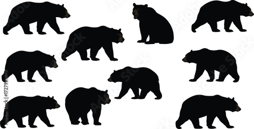 Bear silhouette illustration, wild animal, forest wildlife, grizzly bear, walking bear, sitting bear, black vector, nature, predator, strong mammal