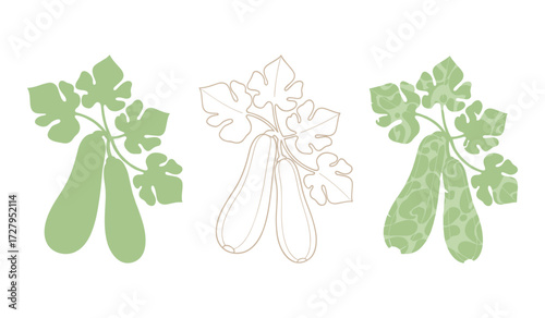 Three stylized green zucchini with leaves on white background squash vegetable
