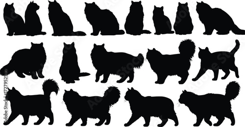 Black cat silhouette vector illustration, domestic feline outline artwork, fluffy kitten shadow design, sitting walking cat graphic, pet animal collectionBlack cat silhouette vector illustration, 