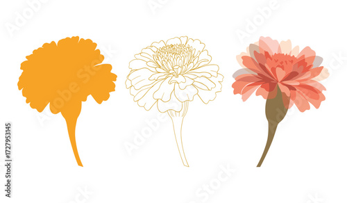 Three stylized marigold flowers in orange outline and translucent coral colors floral