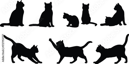 Black cat silhouettes collection, sitting walking stretching playful domestic feline vector illustration, pet animal outline shapes, graphic design icons, decoration elements