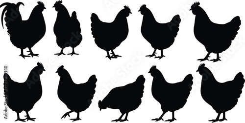 Black chicken silhouette collection, farm bird vector illustration, poultry animal design, rooster and hen shapes, agriculture clipart, livestock artwork, countryside.