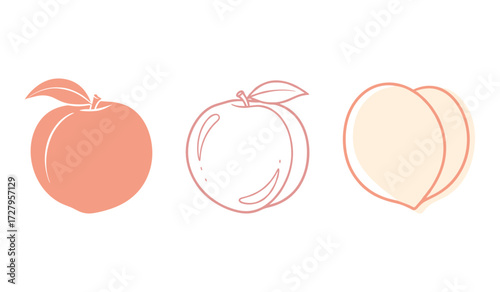 Three stylized peaches in pastel peach and pink outlines and solid fill on white background fruit illustration