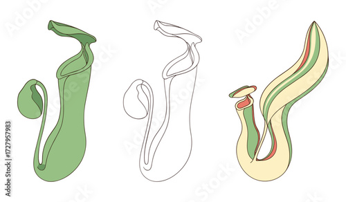 Three stylized pitcher plants in green outline and color variations nepenthes carnivorous plant