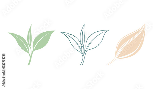Three stylized tea leaves in pastel green teal and beige on white background tea leaf herbal tea