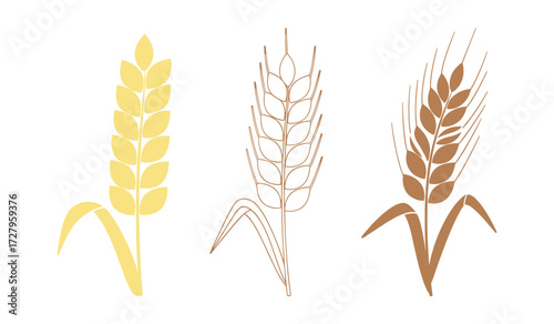 Three stylized wheat stalks in yellow brown and outline grain cereal