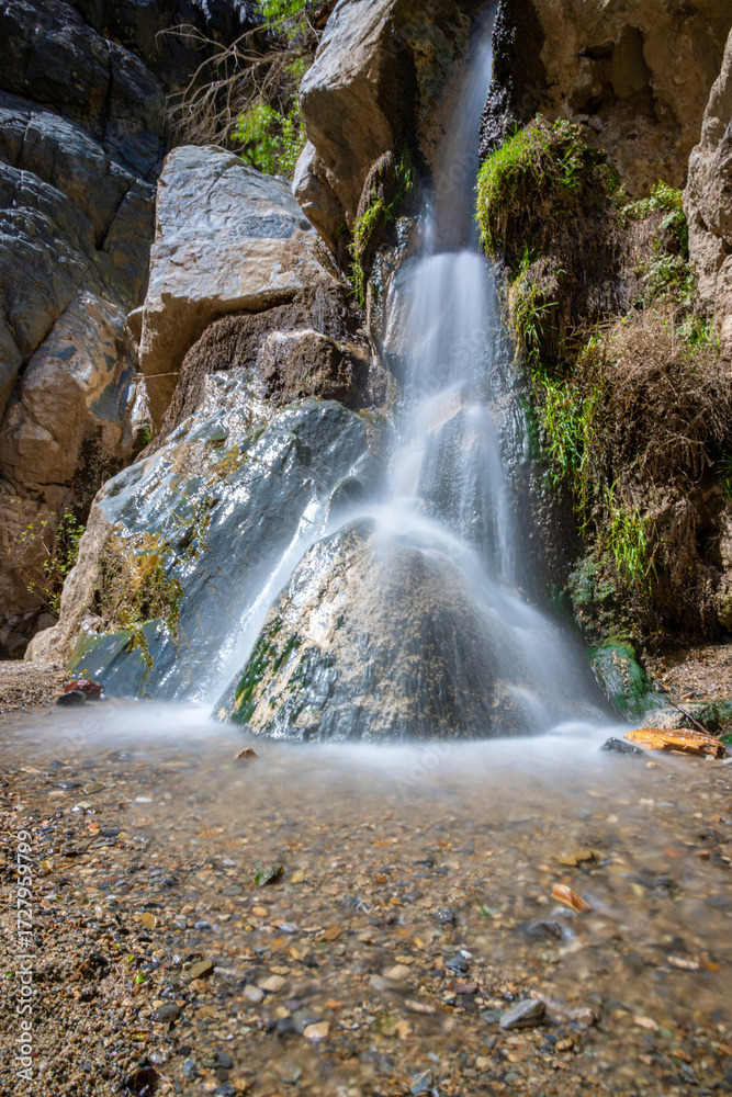 Fototapeta premium A long exposure of Darwin falls in Death Valley national park (inyo county).