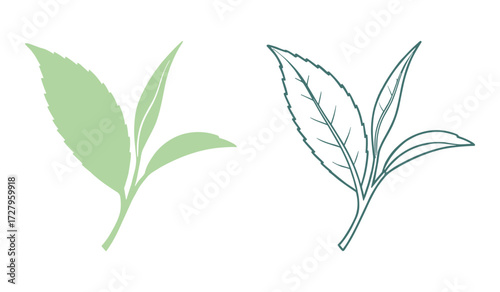 Two stylized tea leaves one solid green one outlined teal tea leaf green tea