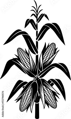 Corn stalk silhouette, Corn tree , corn, Corn stalk vector 