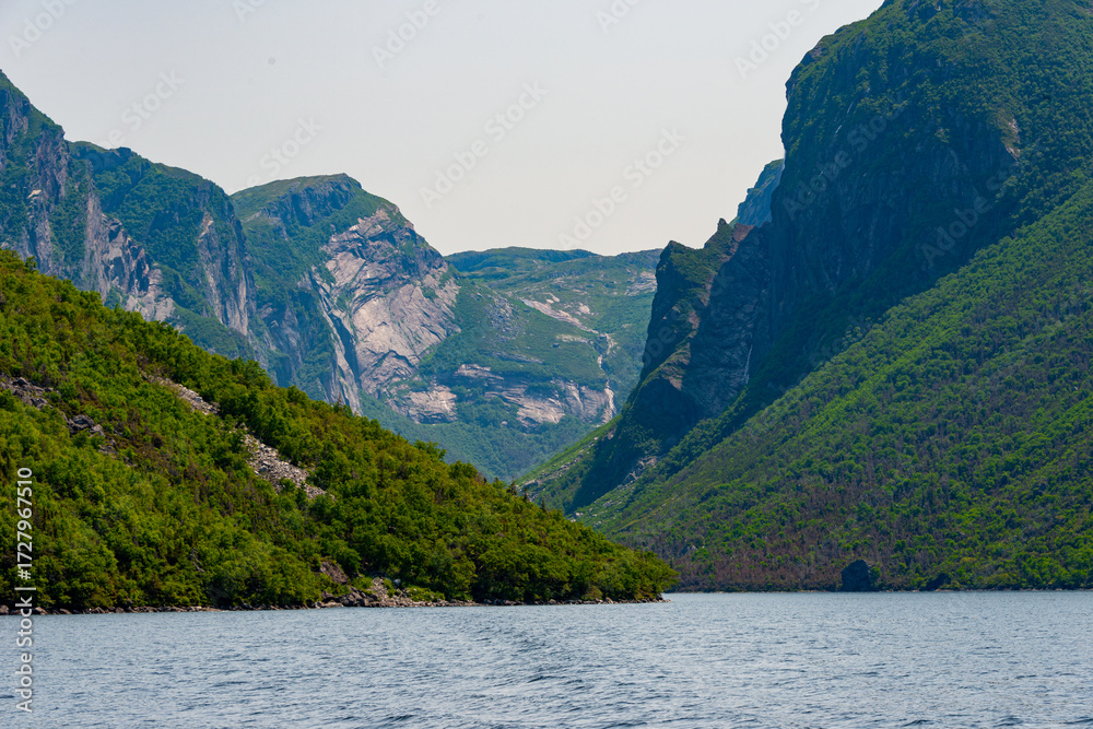 Fototapeta premium Western Brook Pond is a fjord located in Gros Morne National Park. The jagged mountains and rock wall are partially covered in lush green trees. The scenic area is accessible by ecotourism boat tours.