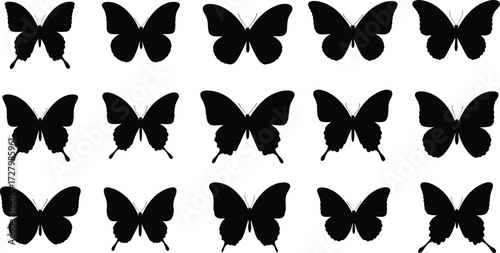 Butterfly silhouettes, black insect shapes, wing pattern variations, entomology reference, species comparison, nature study, biology concept, minimalist vector, taxonomy chart