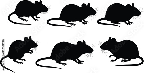 Rat and mouse silhouette collection, black rodent vector illustration, pest control design, vermin animal graphic, wildlife rodents, urban dangerous mammals set