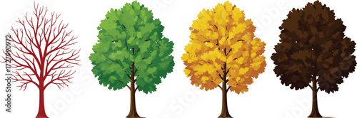 Seasonal tree illustration showing winter bare branches, spring green leaves, summer lush foliage, autumn golden colors, fall brown leaves, isolated background