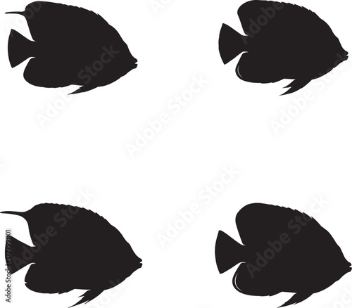 Four silhouettes of angelfish swimming in different directions on a white background