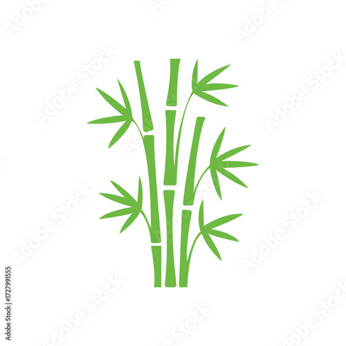 Several green bamboo stalks stand clustered on a white background with simple elegant leaves