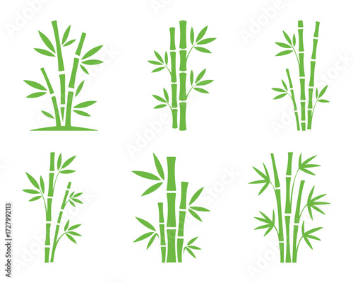 Six green bamboo stalk arrangements are visible on a seamless white background illustration