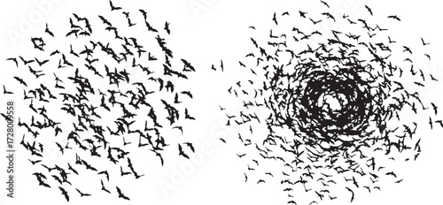 Dynamic Swarm of Flying Bats Silhouettes on White
