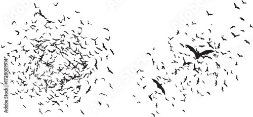 Bat Silhouette Swarm on White Background