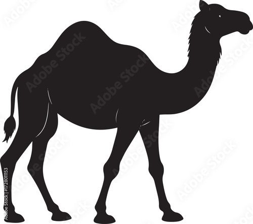  Desert Camel Silhouette Vector Illustration