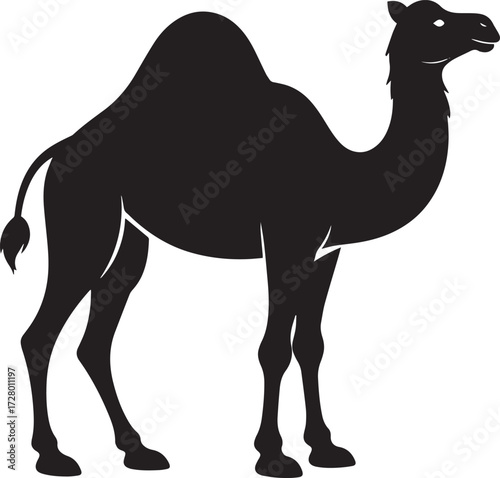  Desert Camel Silhouette Vector Illustration