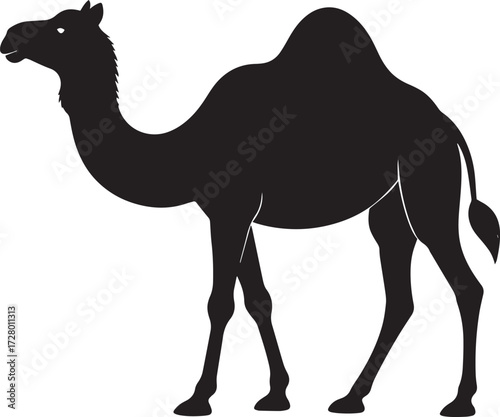  Desert Camel Silhouette Vector Illustration