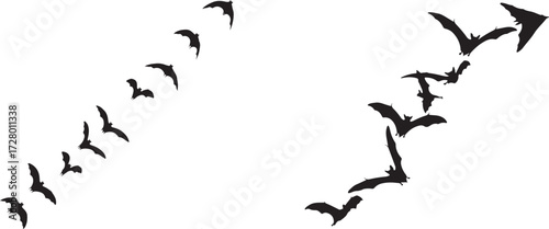 Dynamic Swarm of Black Bat Silhouettes Flying on a White Background