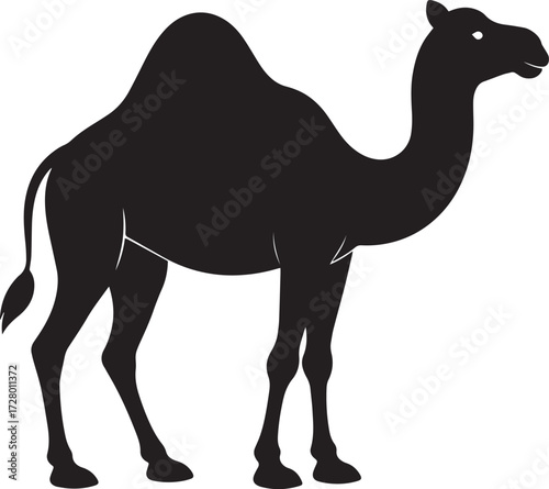  Desert Camel Silhouette Vector Illustration
