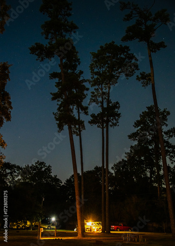 A serene campground is illuminated by a few soft lights under tall, shadowy trees. The deep blue night sky is dotted with stars, adding to the tranquil night ambiance.