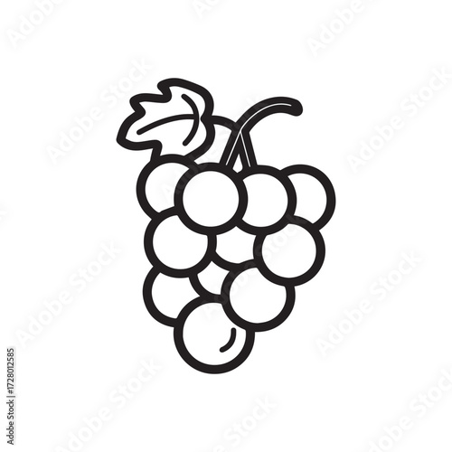 Outlined bunch of grapes hangs with a leaf above on the white background