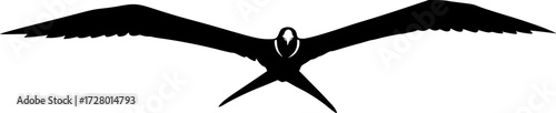 FRIGATEBIRD SILHOUETTE ON WHITE BACKGROUND

