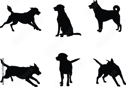Dog silhouettes collection, running dog, sitting dog, standing pet, playful puppy, jumping canine, black vector illustration, domestic animal graphic design artwork
