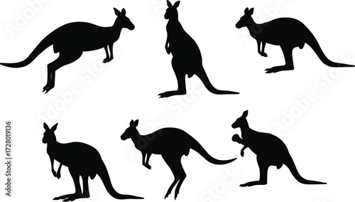 Kangaroo silhouette illustration, wild animal shadow, Australian wildlife vector, kangaroo poses artwork, marsupial design, wildlife art, nature silhouette, hopping kangaroo graphic