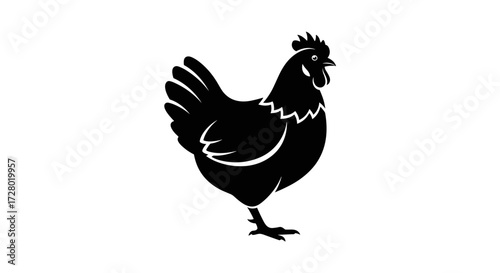 Black chicken standing isolated on white background flat illustration