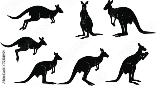 Kangaroo silhouette vector, Australian wildlife shadow, boxing kangaroo artwork, marsupial animal design, nature illustration, hopping kangaroo graphic, wild animal art, fighting pose silhouette