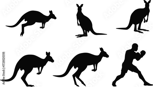 Kangaroo silhouette vector, Australian wildlife shadow, boxing kangaroo artwork, wild animal design, marsupial illustration, hopping kangaroo graphic, nature art, fighting pose silhouette