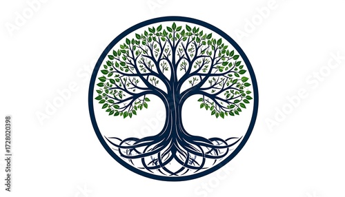 Circular tree of life graphic
