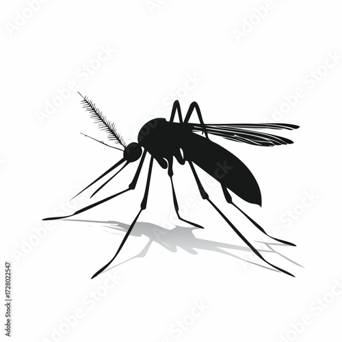 Minimalist vector silhouette of a mosquito on a white background. Simple and clean graphic icon for pest control, insect awareness, and disease prevention concepts