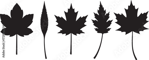 Leaf Silhouette Series: A curated collection of diverse leaf silhouettes, embodying nature's elegance and variety, ideal for adding a touch of organic sophistication to designs.