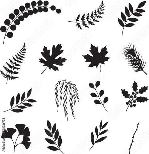 Black Silhouette of Variety Leaves: A collection of various botanical leaves rendered in elegant black silhouettes, perfect for illustrating nature's intricate beauty.
