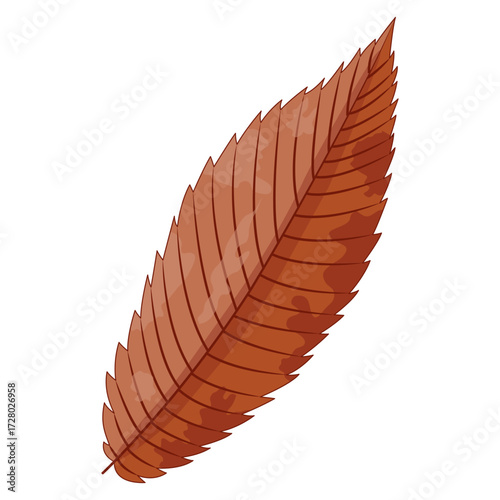 Illustration of a single brown autumn leaf