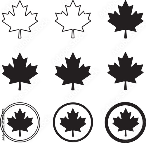 Maple Leaf Design Collection: A versatile assortment of maple leaf designs, elegantly illustrated in various styles, presenting both intricate line art and solid silhouettes for creative projects.