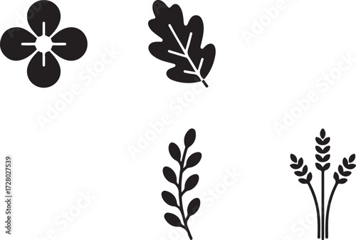 Botanical Silhouette Collection: A carefully curated collection of natural elements depicted in elegant silhouettes, ideal for design elements, emphasizing simplicity and nature's beauty.