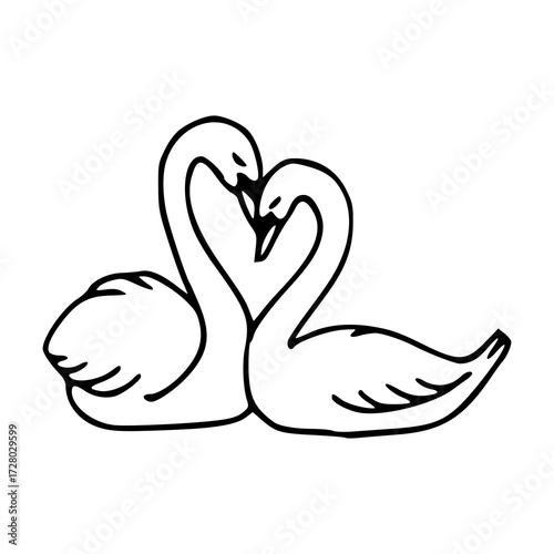 romantic swan couple line art