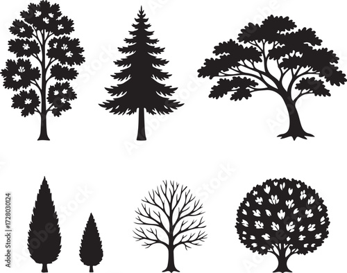 Diverse Trees Silhouettes: A collection of various tree silhouettes, offering a range of shapes and sizes for design and educational purposes.