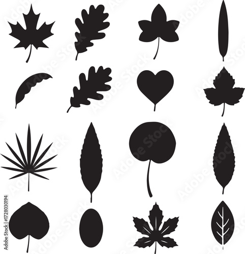 Silhouette Leaves: A curated collection of leaf silhouettes, showcasing diverse shapes and forms, perfect for illustrating botanical themes, design, and artistic concepts.