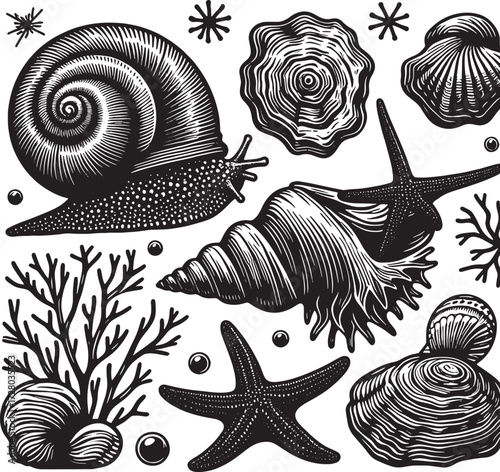 sea animal black silhouette art transparent background design stock photos premium quality